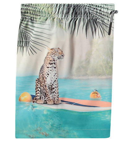 Molo Swim Shorts - UV50+ - Niko - Leo On Surf