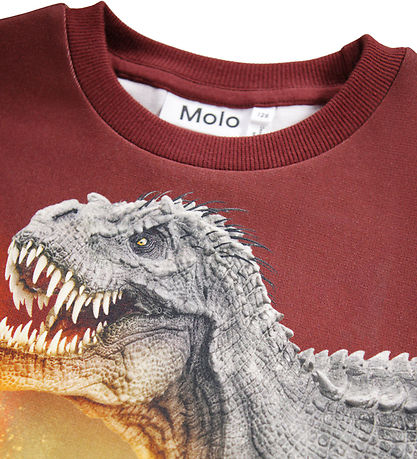 Blouse Molo - Mélange - Dino Paysage