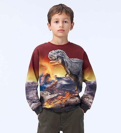 Blouse Molo - Mélange - Dino Paysage