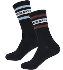 Dickies Socks - 2-Pack - Genola - Black/Tibetan Red