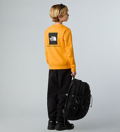 The North Face Sweatshirt - Reg Crew - Top Gold m. Print