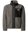 The North Face Fleecejacke - Smoked Pearl