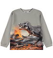 Molo Blouse - Rube - Dinosaur Mist
