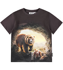 Molo T-shirt - Riley - Cave Björnar