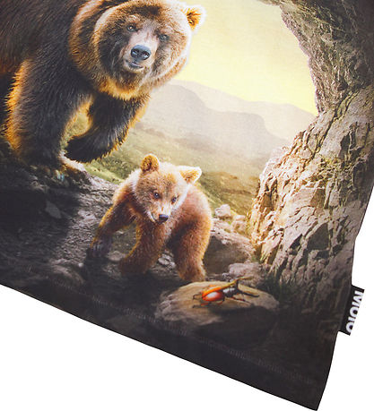 Molo T-shirt - Riley - Cave Bears