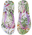 Molo Flip Flops - Zeppo - Wild Nature