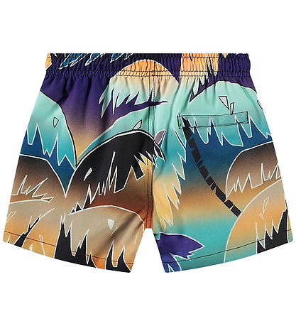 Molo Swim Shorts - UV50+ - Niko - Faded Palmtrees