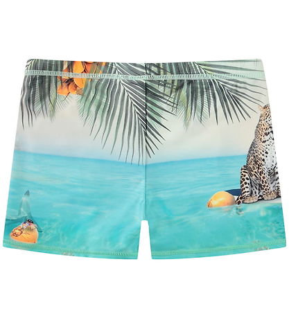 Molo Swim Trunks - UV50+ - Norton Placed - Leo On Surf