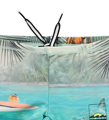 Molo Swim Trunks - UV50+ - Norton Placed - Leo On Surf
