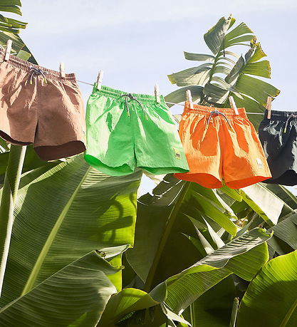 Molo Swim Shorts - UV50+ - Niko Solid - Green Vibes
