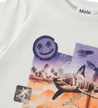 Molo T-shirt - Frame - Collage Surf
