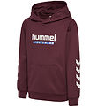 Hummel Hoodie - hmlJr Logo Hoodie - Vineyard Wine