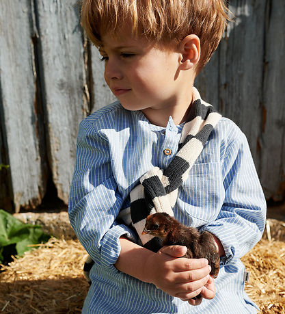 Blouse Wheat - Tricoté - Morgan - Marine Stripe