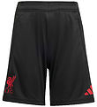adidas Performance Shortsit - Liverpool - Musta