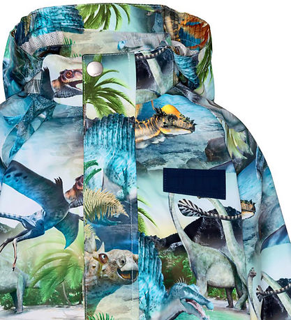 Molo Regenjas - PE - Waiton - Dino Fantastisch