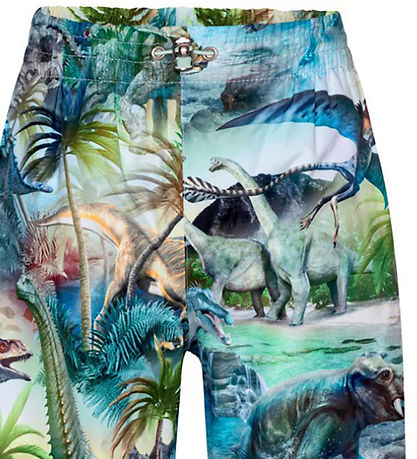 Molo Regenbroek - PE - Waits - Dino Fantastisch