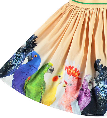 Molo Rok - Brenda - Rainbow Parrots