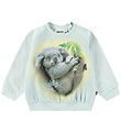 Molo Sweatshirt - Skiva - Koalaty-tid