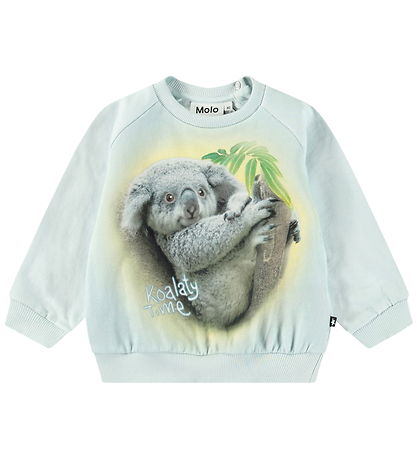 Molo Sweatshirt - Skiva - Koalaty-tid