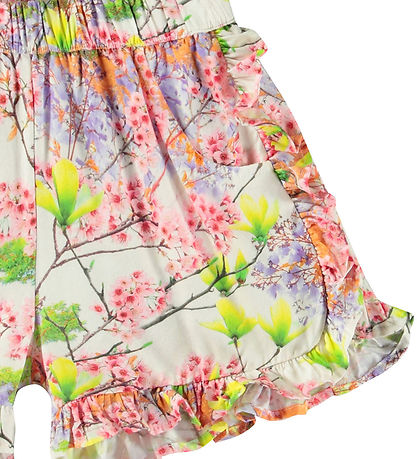 Molo Shortsit - Akasia - Kukassa