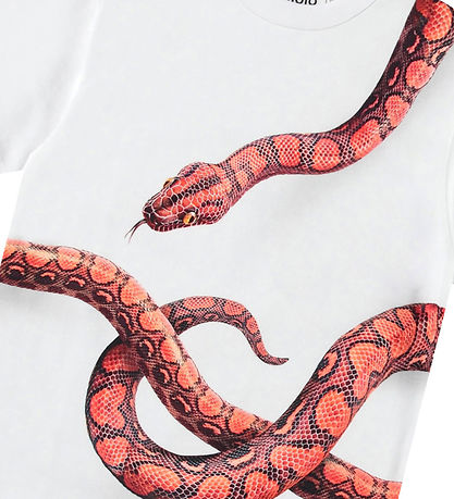T-Shirt Molo - Rubis - Rouge Snake