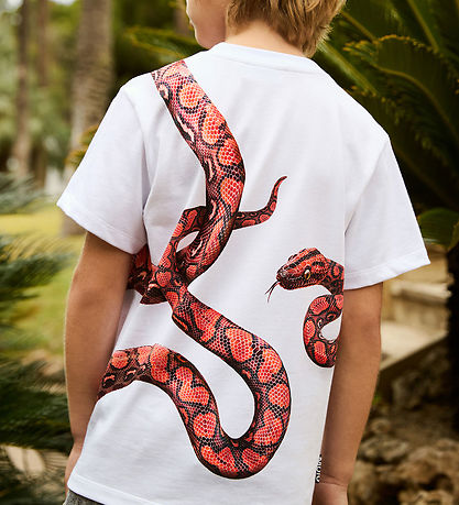 T-Shirt Molo - Rubis - Rouge Snake