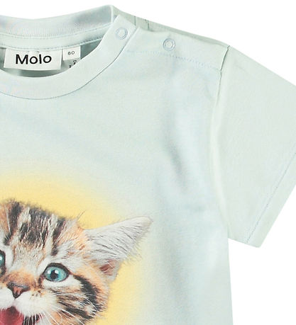 T-Shirt Molo - Enzo - A-Miaou-Chanter