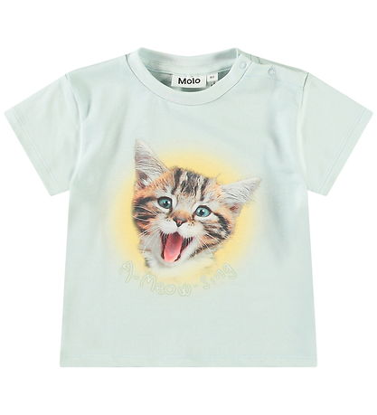 T-Shirt Molo - Enzo - A-Miaou-Chanter
