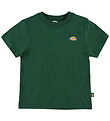Dickies Stuttermabolur - Mapleton - Furunál Green