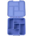 MontiiCo Lunchbox w. 5 Rum - Bento Five - 980 mL - Splash