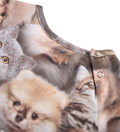 Molo Dress - Charmaine - Fuzzy Fluffy