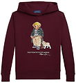 Polo Ralph Lauren Kapuzenpullover - Classics - Wine
