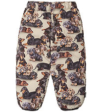 Molo Skibukser - Percy - Dachshund Soft