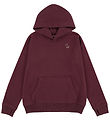 Abercrombie & Fitch Hettupeysa - Fig