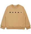 Marni Sweatshirt - Cardboard Beige w. Logo