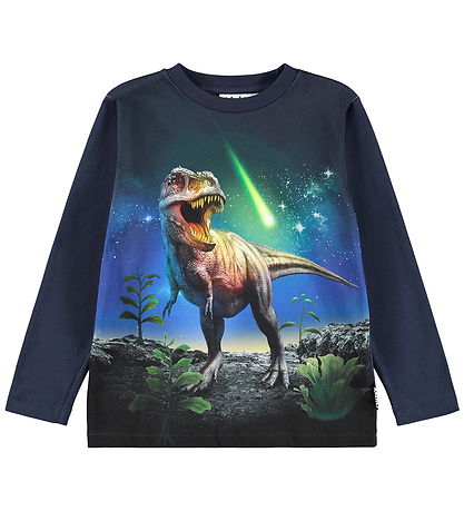 Blouse Molo - Reif - Météore Dino
