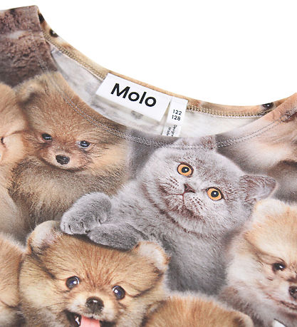 Molo Dress - Corelie - Fuzzy Fluffy