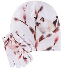 Molo Beanie/Gloves - Kaya - Willow CAT