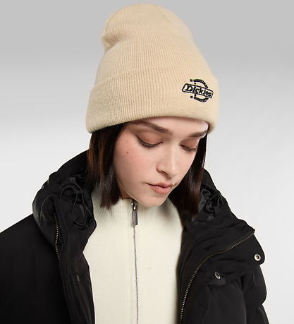 Dickies Beanie - Knitted - Summerdale - Wood Ash