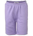 Shorts Hound - Lavender