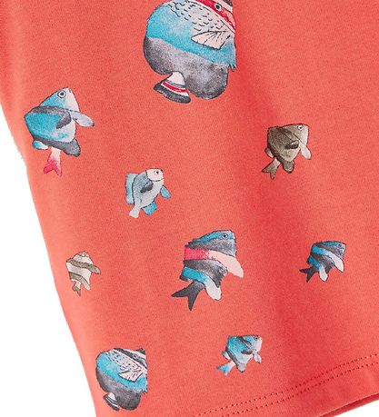 Name It Gift Box - NbmFasolle - T-shirt/Shorts/Beanie - Dark Sap