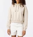 Dickies Kapuzenpullover - Loretto - Sand