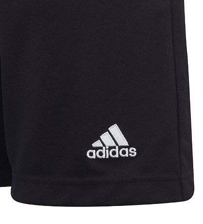 adidas Performance Shorts - Entrada 22 - Black
