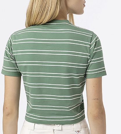 Dickies Stuttermabolur - Skera - Westover - Dark Ivy M. Rendur