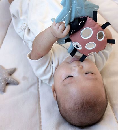 Cam Cam Activity Toy - Lady Bug