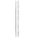 Linex Linjal - 30 cm - Genomskinlig