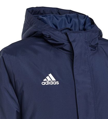 adidas Performance Steppjacke - ENT22 STAD - Navy
