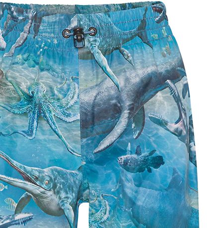 Molo Rain Pants - Waits - BIG Ancient Sea