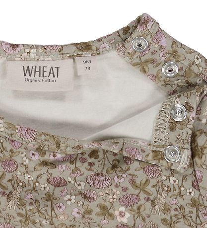 Robe Wheat - Nova - Fleurs fossilisées