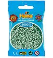 Hama Mini Perlur - 2000 Stk. - Miðbaugur
